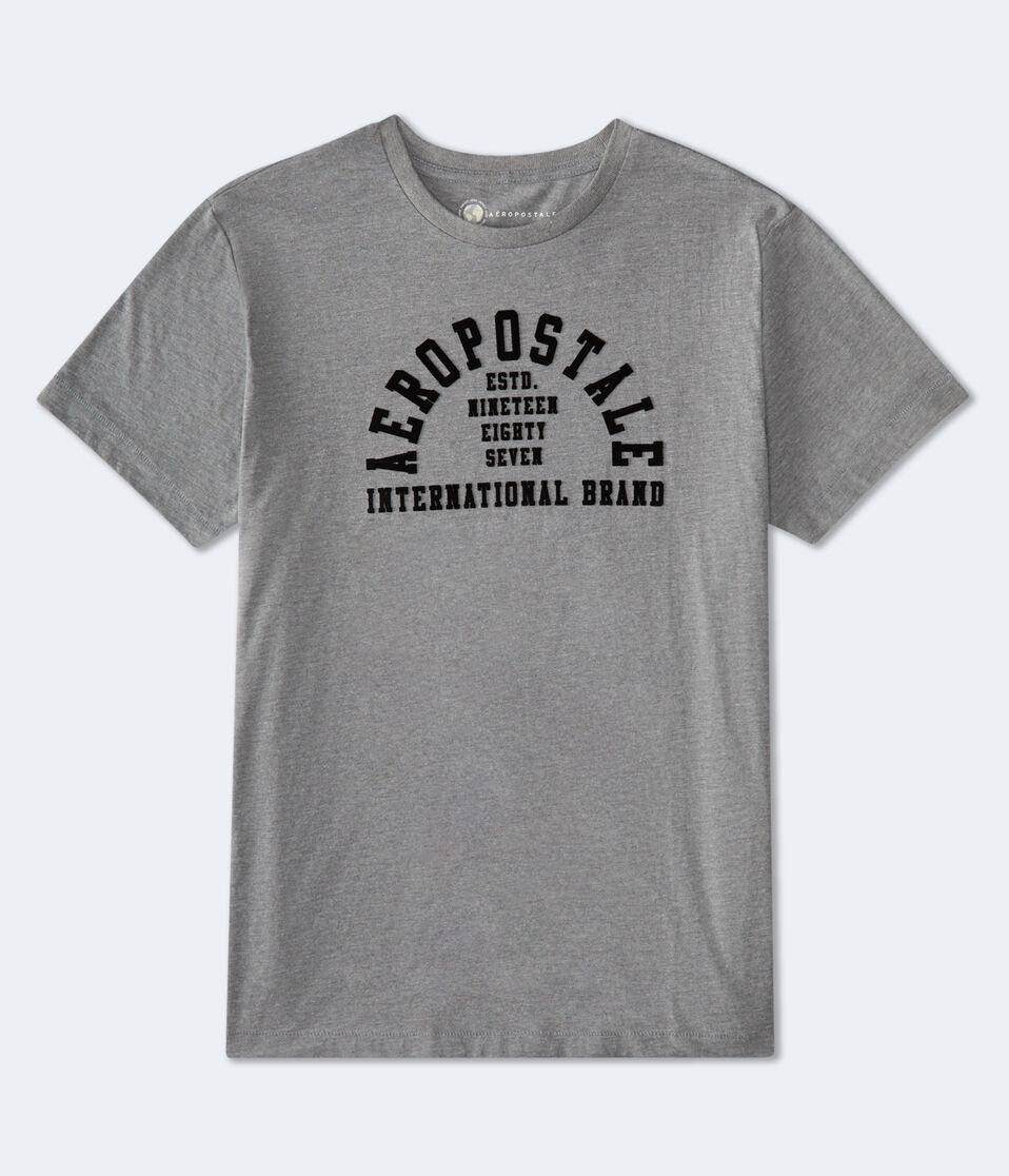 Aeropostale Arch Flocked Graphic Tee